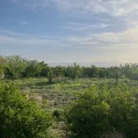 فروش-آب-چاه-به-همراه-باغ