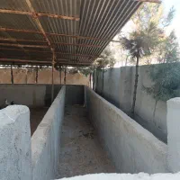 فروش گاوداری ۱۰۰۰متری با پروانه و سند|فروش دفتر صنعتی، کشاورزی، تجاری|کهریزک, |دیوار