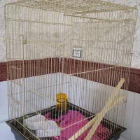 قفس بزرگ