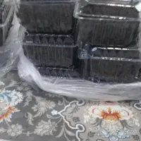 محصولات خانگی و بهداشتی سفارشات پذیرفته میشود