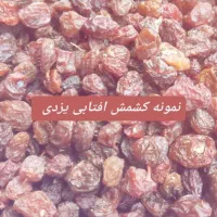 خشکبار رحیمی
