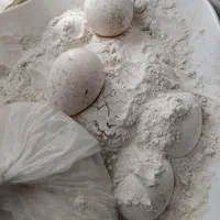 تخم نطفه دار بوقلمون