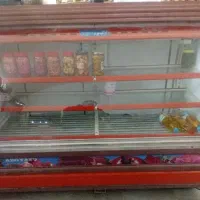 یخچال مغازه