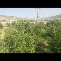 خانه باغ سوییت دوراهی امام زاده سید عبدالله|اجارهٔ کوتاه‌مدت ویلا و باغ|ایوان, |دیوار
