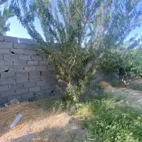 ۲۲۰ متر چهار دیوار با درخت ۱۰ ساله|فروش دفتر صنعتی، کشاورزی، تجاری|بهارستان, |دیوار