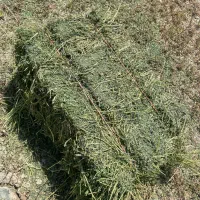 یونجه خالص خالص