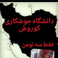 آموزش جوشکاری تضمینی