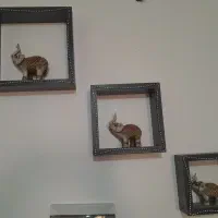 فروش دیوار کوب به همراه مجسمه فیلی ۴۰۰ تومن