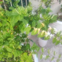 زیر زمین بر خیابان قائم مشاور مهندس خسروابادی