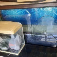 آکواریم و قفسه پرنده