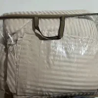 روتختی ساتن