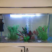 آکواریوم شیشه خم با پایه با تمام وسایل