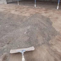 کودگوسفندی وگاوی