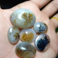 مجموعه‌ی ۶ عددی شجر قائن|جواهرات|فردوس (خراسان), |دیوار