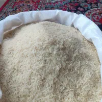 برنج فجر سوزنی ۹۰روز|عمدهفروشی|آق قلا, |دیوار