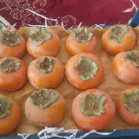 خرمالو