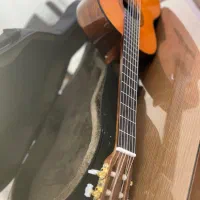 فروش گیتار نو|گیتار، بیس، امپلیفایر|کیش, |دیوار