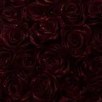 گل های شیک و زیبا|گل و گیاه طبیعی|مرند, |دیوار