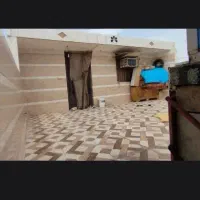 شیبان خیابان عدل