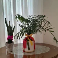 2 عدد گلدان زیبا