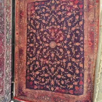 بار جدید فرش رسید|فرش|بوشهر, |دیوار