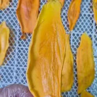 استخدام نیروی تولیددرکارگاه میوه خشک(ویژه خانم‌ها)
