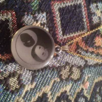 یک عدد گردنبند شب تاب