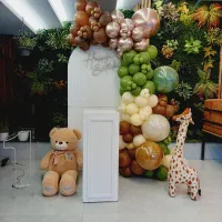 بادکنک آرایی و گل آرایی|خدمات پذیرایی، مراسم|پردیس, فاز ۱|دیوار