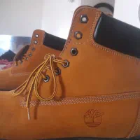 بوت ساق بلند|کیف، کفش، کمربند|بندر انزلی, زنبق|دیوار