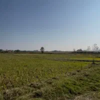 زمین شالیزار/جاده جیرده/۵کیلومتری رشت