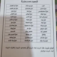 عرقیجات و شربت حاج علی