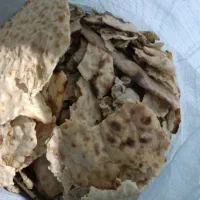 نان خشک فروش و خرید