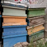 جعبه زنبور