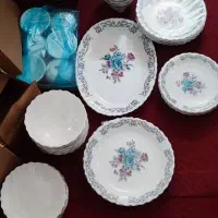 ظروف پذیرایی غذاخوری به فروش میرسد