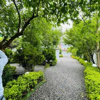 یه شماله و یه تراسه جنگلی/با همچین حیاط سرسبزی|فروش خانه و ویلا|چمستان, |دیوار