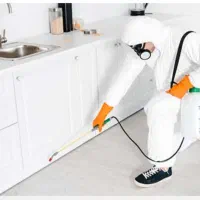 سم پاشی تضمینی و حرفه ای