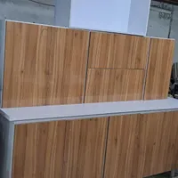 تولید وپخش کابینت وکمد دیواری|آب‌چکان و نظم‌دهنده ظروف|رشت, معلولین|دیوار