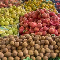 استخدام کار یابی