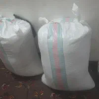 شالی فجر سوزنی