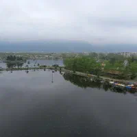 پخش تراکت تبلیغاتی