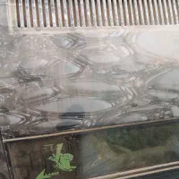 بخاری