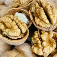 پخش عمده انواع گردو کاغذی|عمده‌فروشی|شیراز, بازار|دیوار
