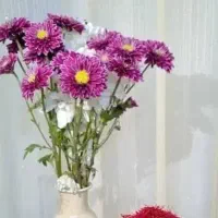 راهنمایی  وکار