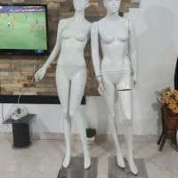 مانکن  زنانه بوتیک بوتیکی|فروشگاه و مغازه|نورآباد, |دیوار