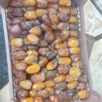 رطب کبکاب درشت ودرجه یک|خوردنی و آشامیدنی|شیراز, شهرک ولیعصر|دیوار