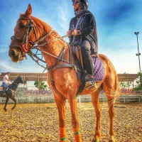 آموزش سوار‌کاری