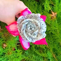 میوه آرایی|خدمات پذیرایی، مراسم|بروجرد, |دیوار