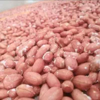 بادام زمینی و کره بادام زمینی|خوردنی و آشامیدنی|قم, دورشهر|دیوار