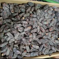 خرما ربی درجه یک|خوردنی و آشامیدنی|ایرانشهر, |دیوار