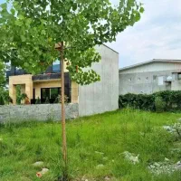 زمین ۲۵۰متری/بین دو ویلای دوبلکس/جاده دریا